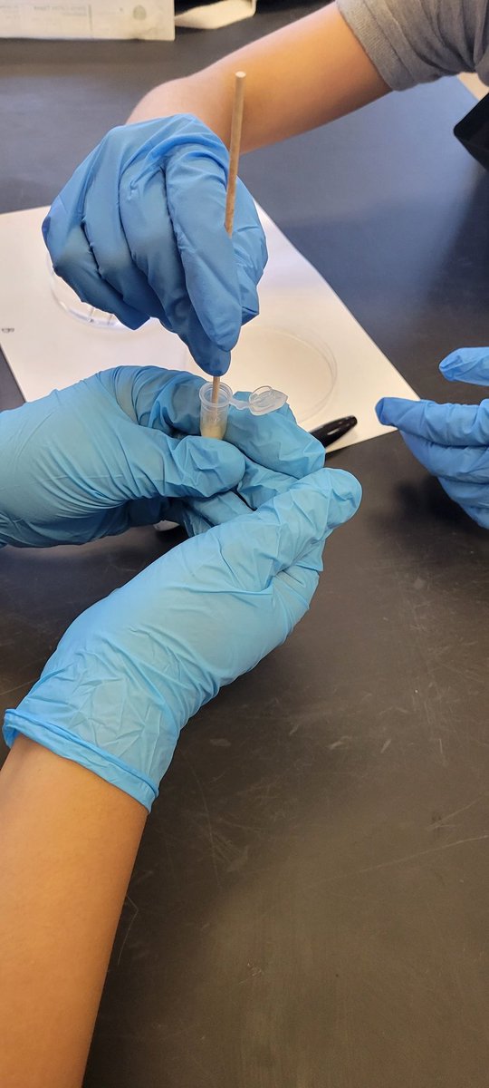KendraLow2's tweet image. Antibiotic lab. Students were very dillagent about safety! They are awesome! @OpalHFord @AEMA_JDMS