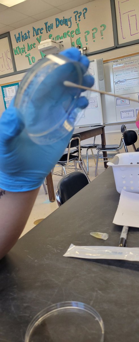 KendraLow2's tweet image. Antibiotic lab. Students were very dillagent about safety! They are awesome! @OpalHFord @AEMA_JDMS