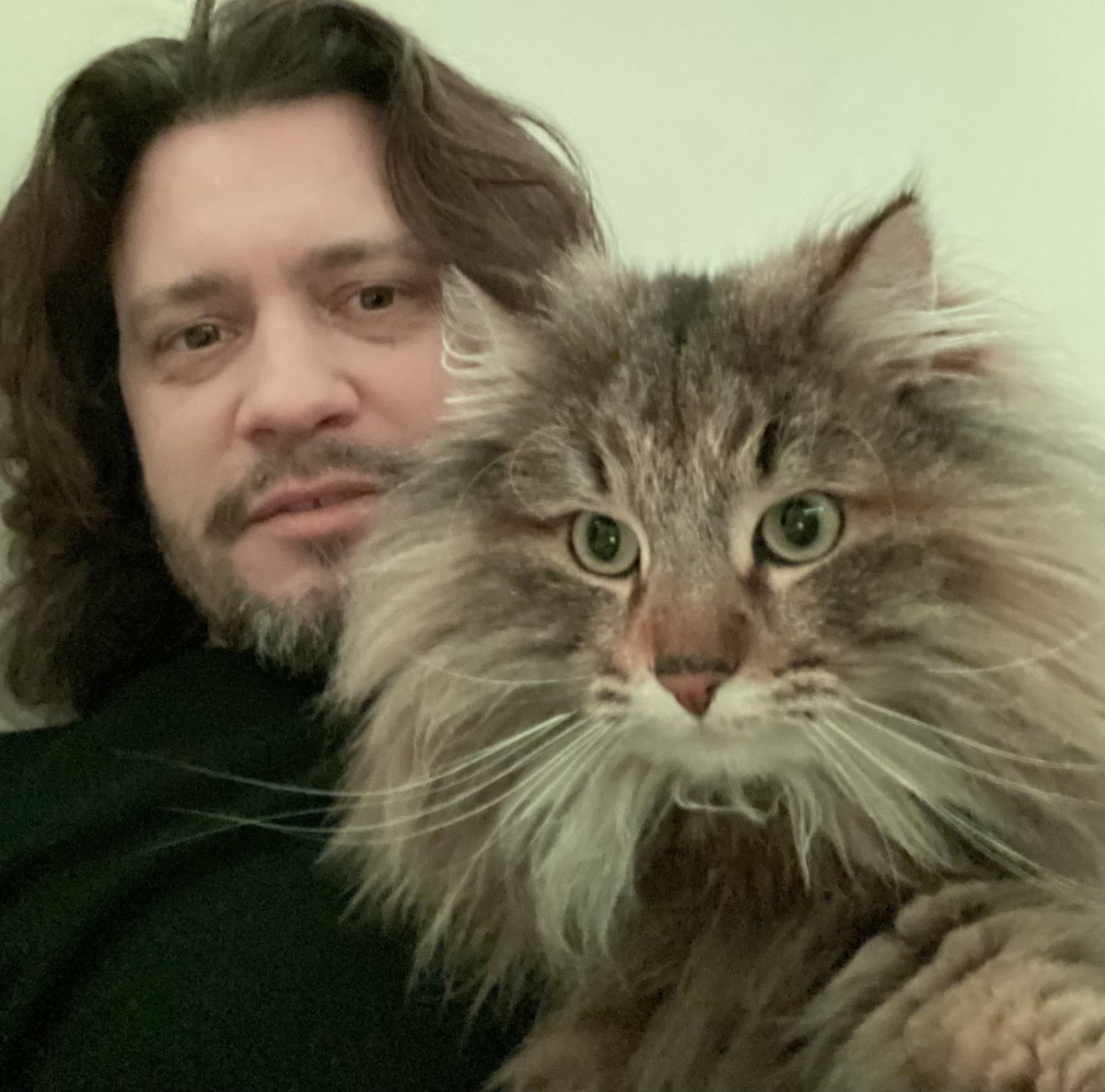 Our cat very unimpressed with Zouma. I really can’t repeat what she said.