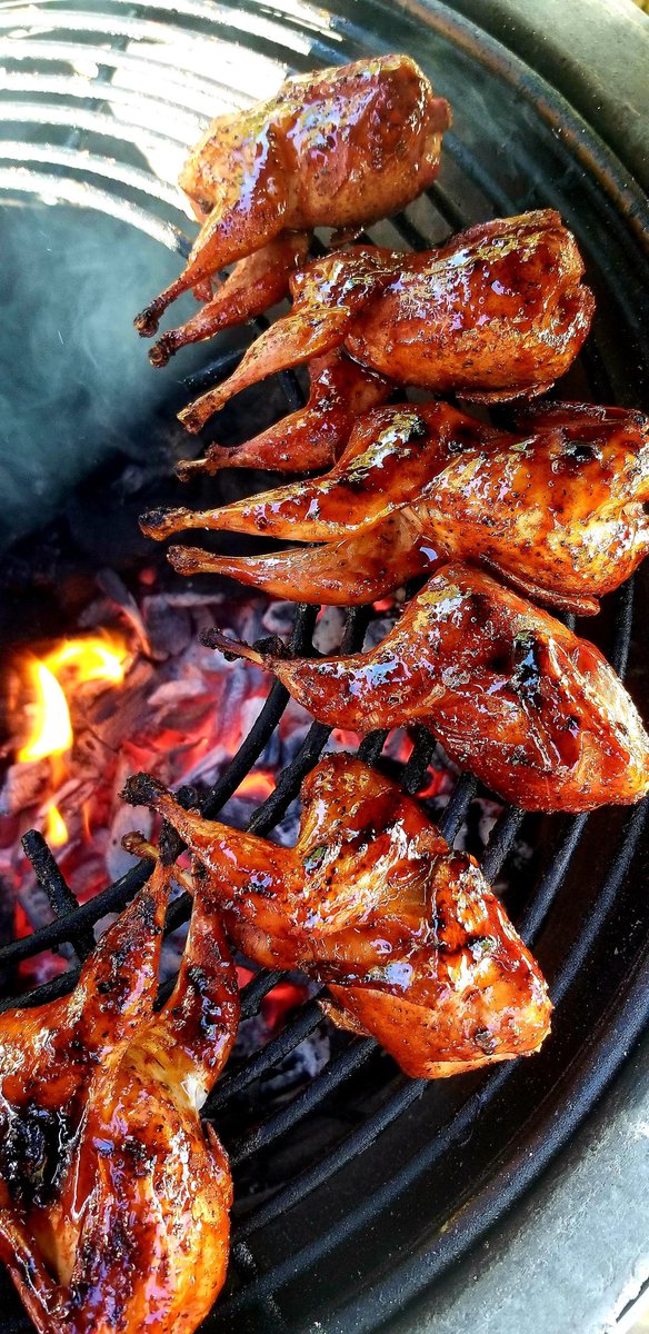 ChefPhillipDell's tweet image. Quail have wings too! #wingwednesday doesn't have to only be about chicken😄
#grillingovercharcoal #livefirecooking #grilling #grilled #gamebirds #outdoorsman