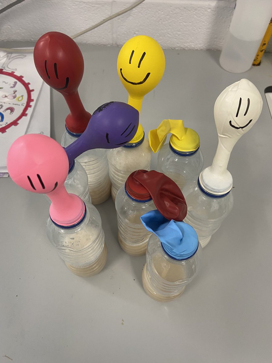 Some yeast balloons from todays Science club! Pupils investigated the effect of temperature on respiration with some nice results  😊👍🏻