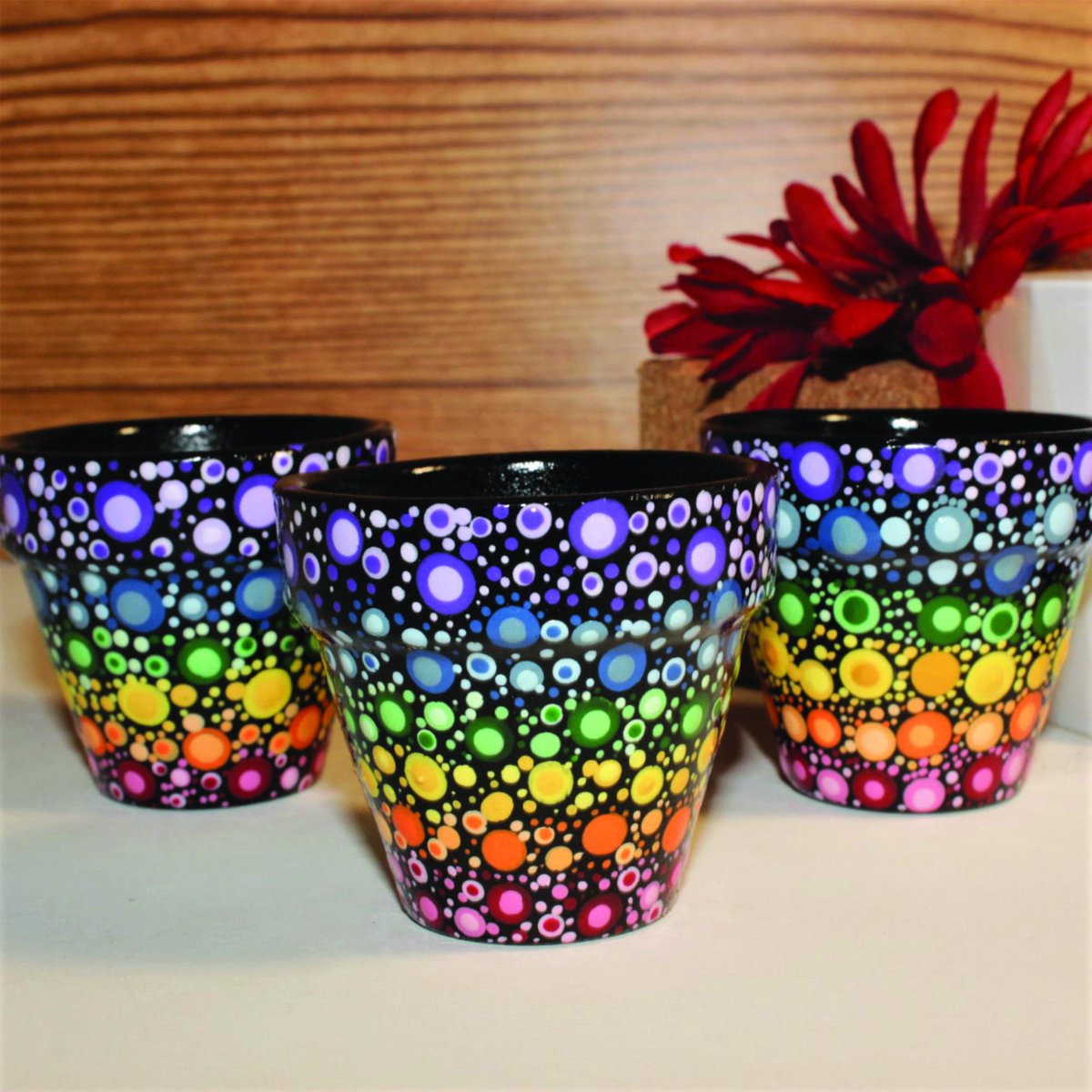 preciouspots's tweet photo. Excited to share the latest addition to my #etsy shop: Set of 3 Rainbow "Lots of Dots" Mini Pots/ Indoor Planter/Handpainted/Terracotta/ Great Gift/ Home Decor/ Succulents Pot/ LGBT Pride https://t.co/08wI0GEW9r #black #rainbow #terracottapot #planterswithpots https://t.co/FZEyZrdygL