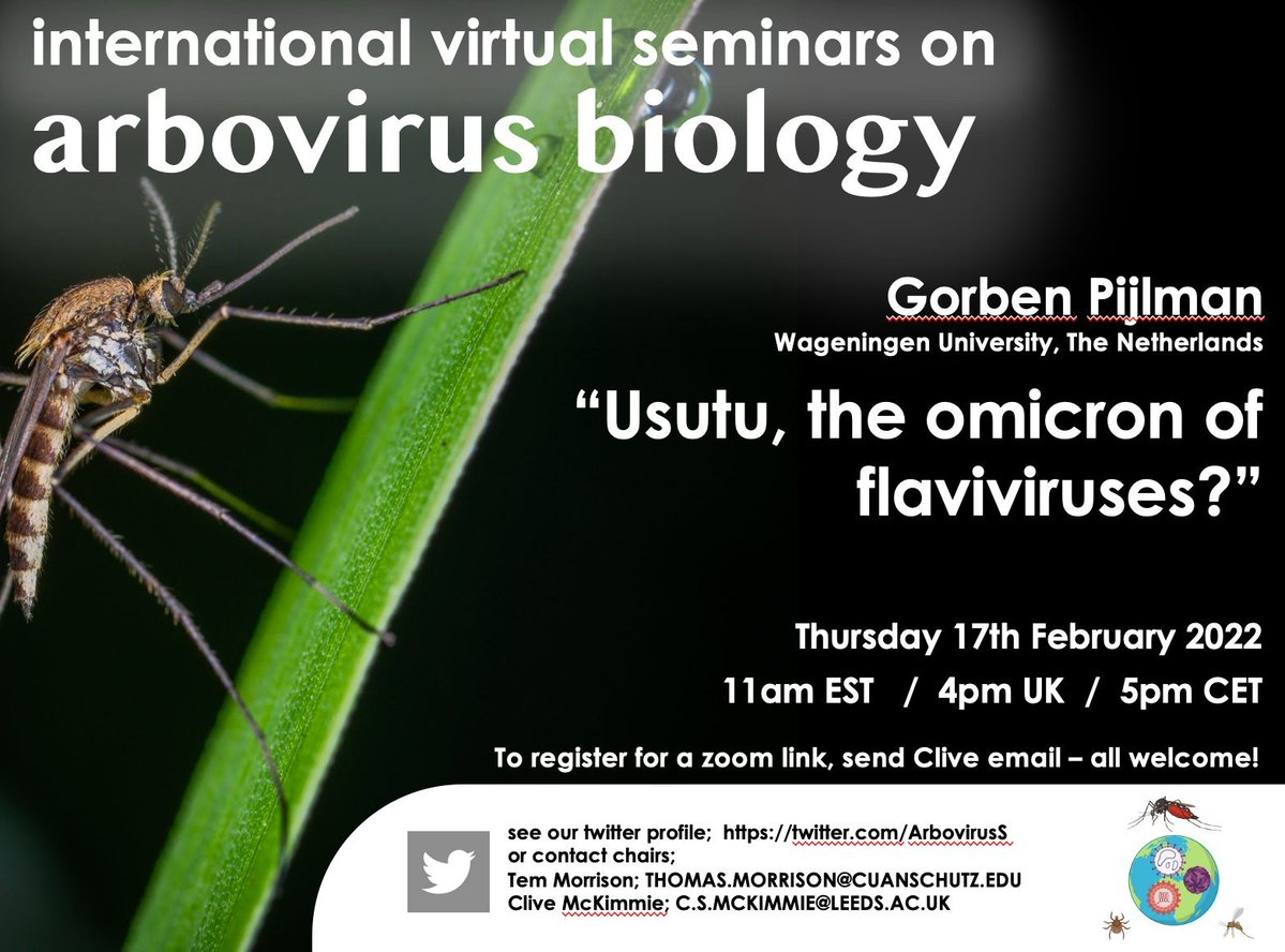 Please join us Thursday 17th of February for the next International Virtual Seminar on Arbovirus Biology. Gorben Pijlman will be presenting!