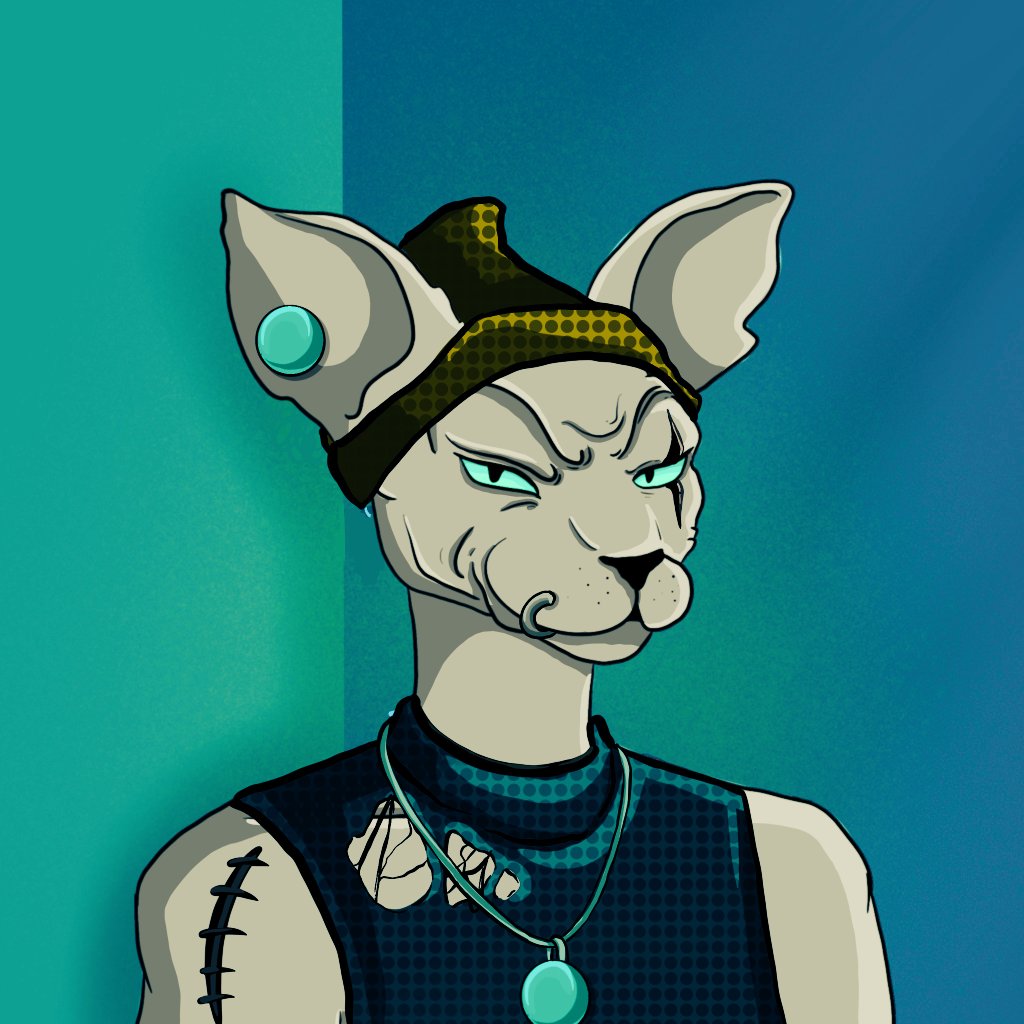 Notorious Cats Union tweet media