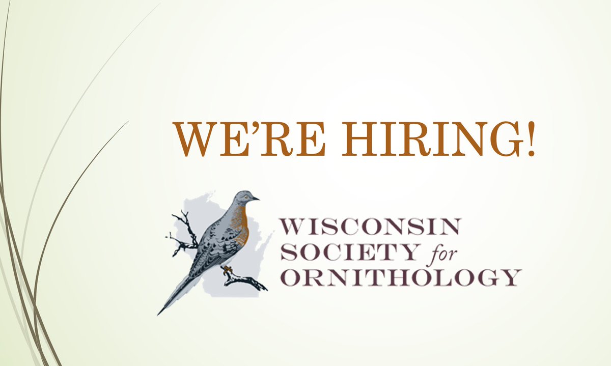 Wisconsin Society for Ornithology tweet media