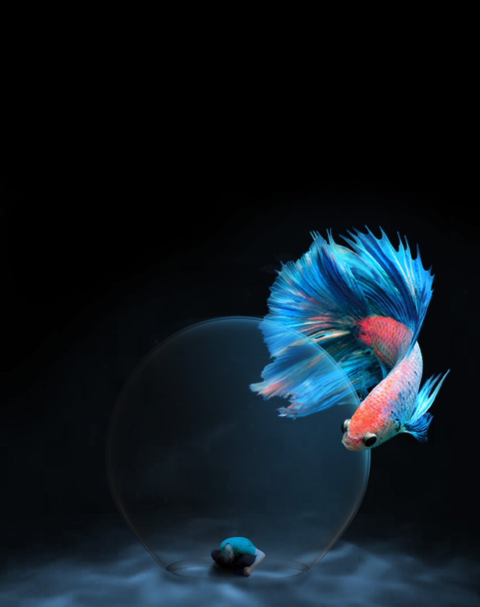 irv5689's tweet image. #NFTLiverpool 
#lifeinabowl 

opensea.io/assets/ethereu…