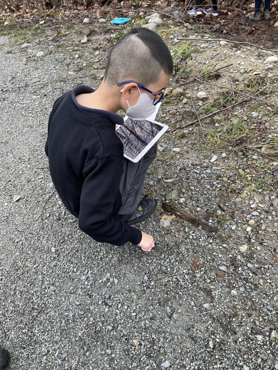 Waylon Ye tweet media