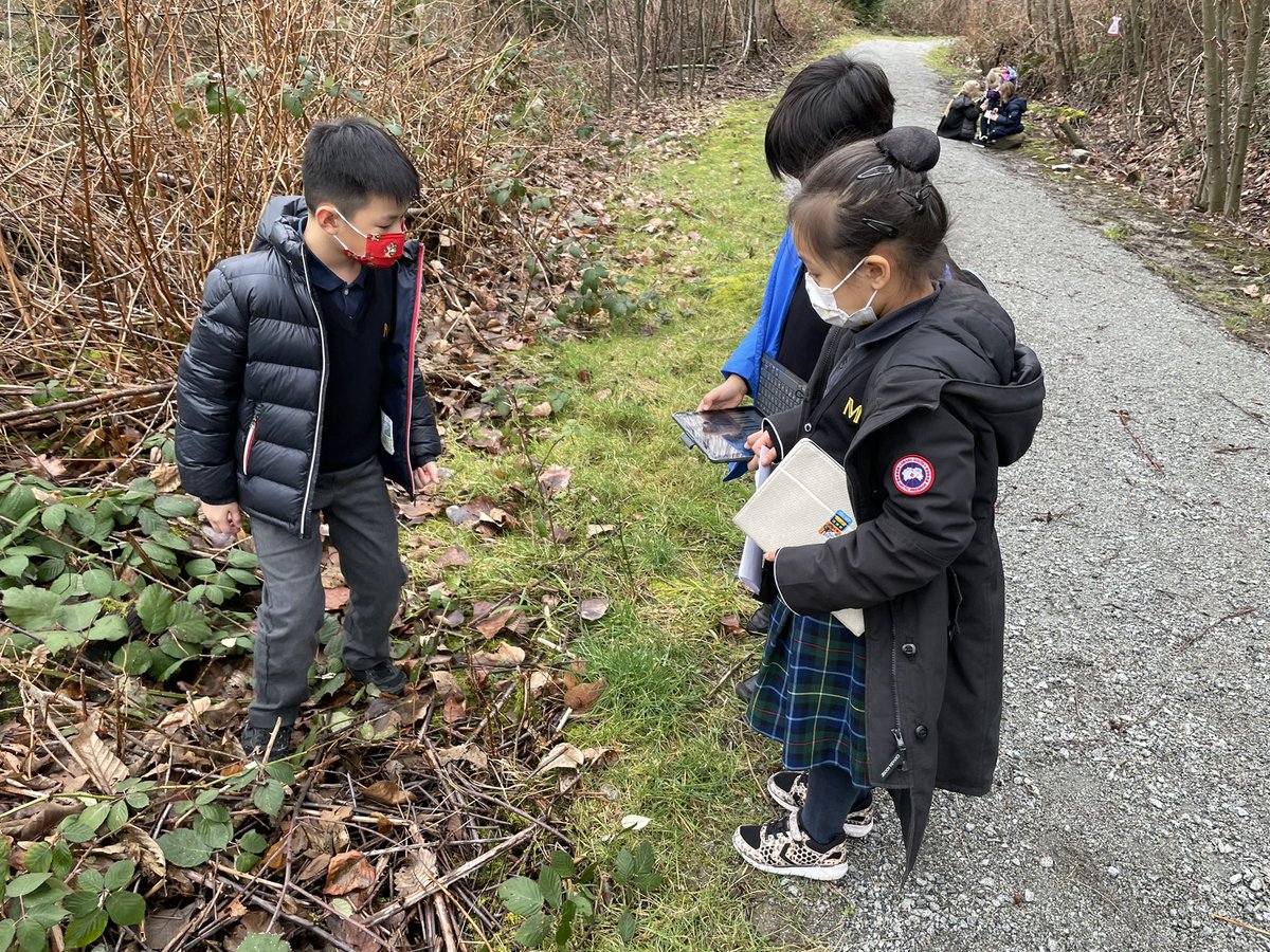 Waylon Ye tweet media