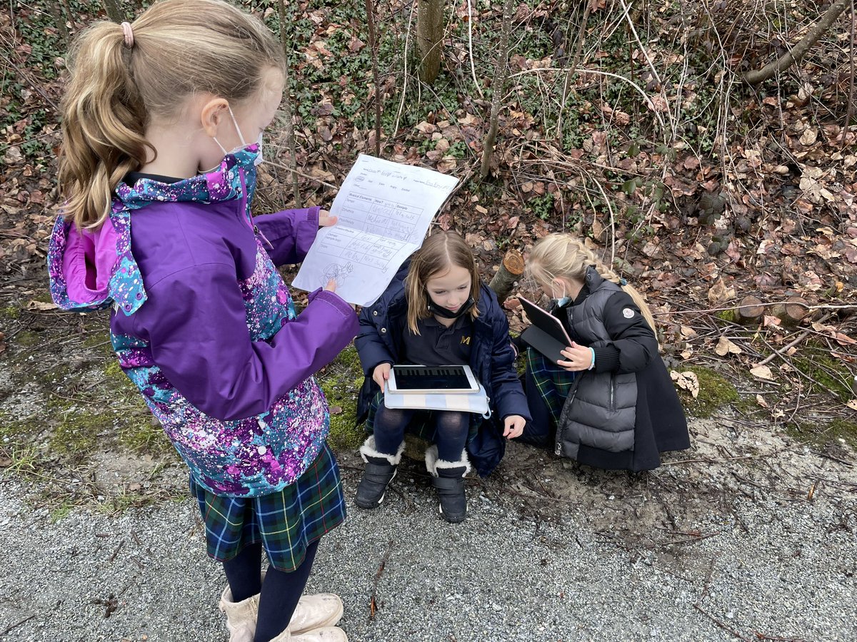 Waylon Ye tweet media