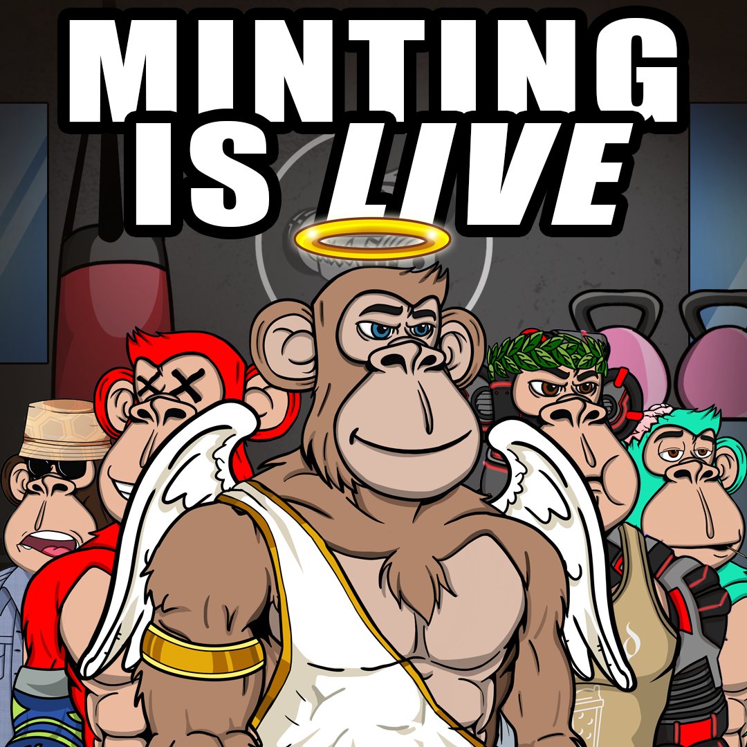 _MobJ's tweet photo. Our Pre-Sale Mint is now live! 💪🐵

🔗: https://t.co/Hy3HEHK0C1 https://t.co/CZWiTcnqiH