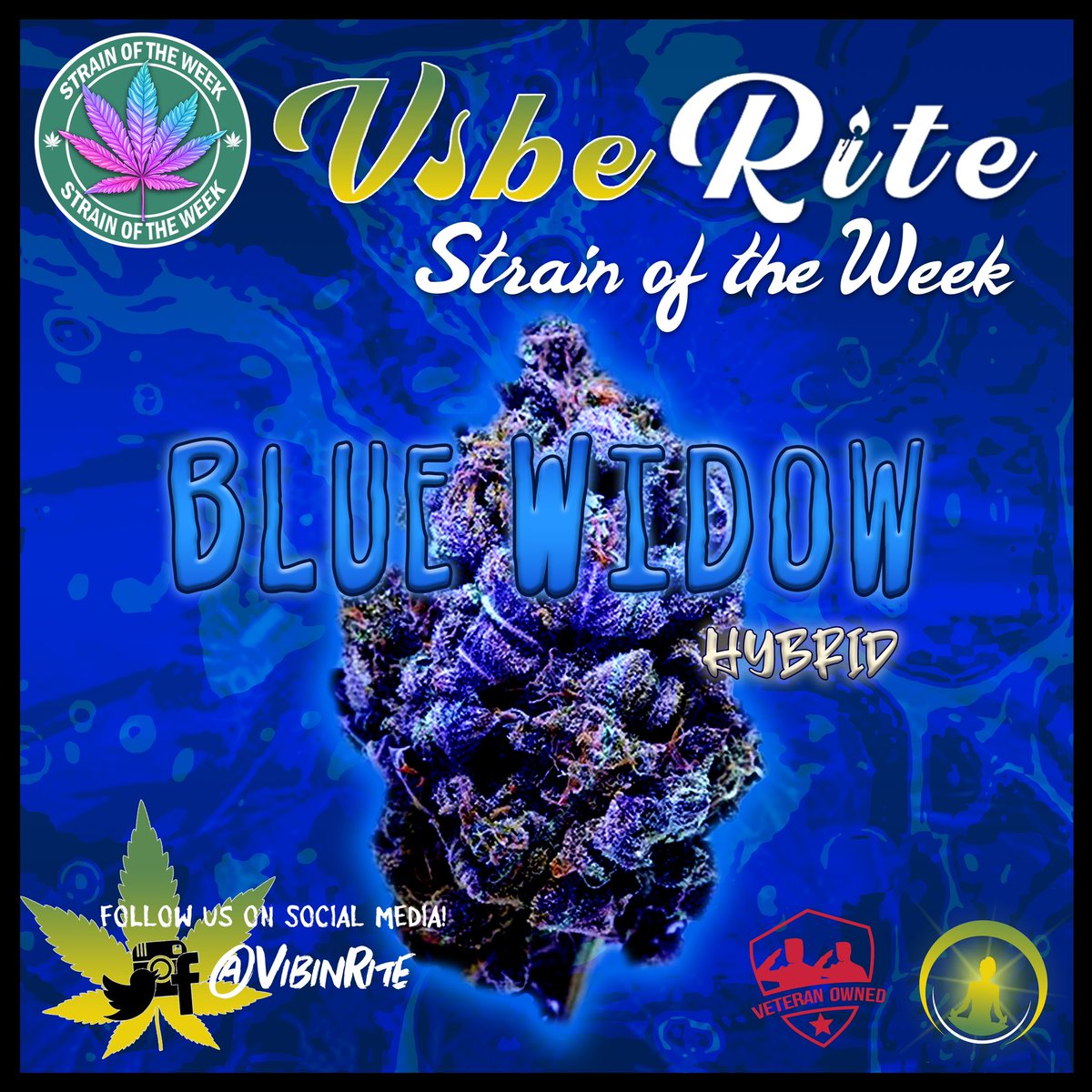 Vibe Rite ♡ tweet media