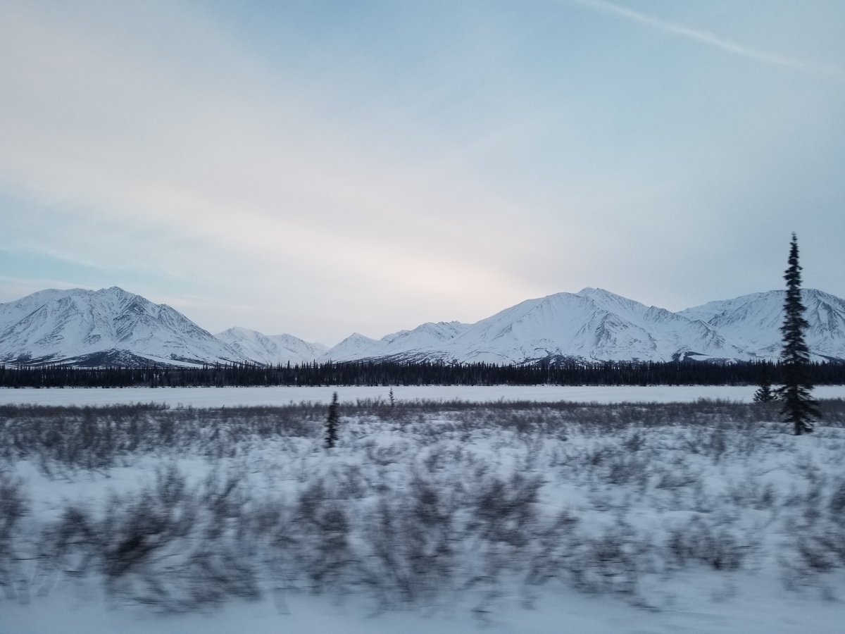 AlaskaLatinTour's tweet photo. #alaskalife
#naturephotography 
#wintervacation
#alaskawinter
#alaskavacation
#landscapephotography
#naturephotographer https://t.co/0lCdXZ3yrt