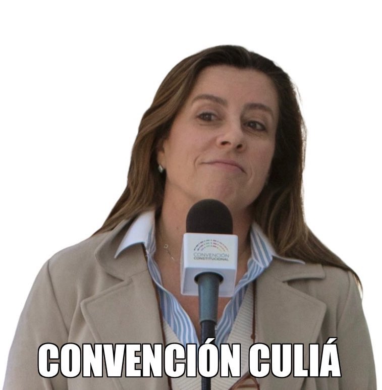 elrickyopina's tweet photo. Te amamos @tere_marinovic de verdad muchos pensamos eso y no tenemos el micrófono que tienes! 👍🏻 #Convencionculia #RechazoDeSalida2022 https://t.co/JTuhYDOnTO