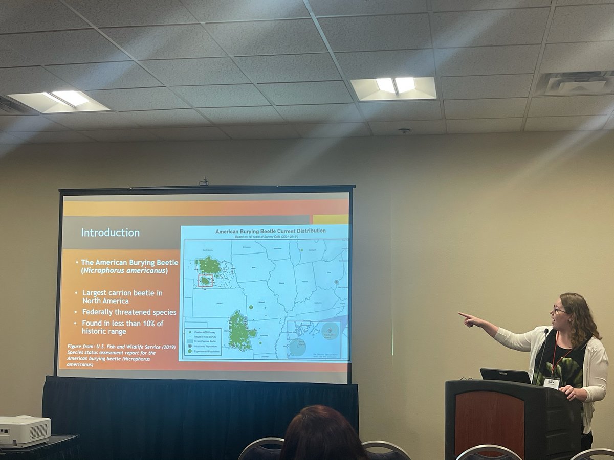 Alison Ludwig tweet media