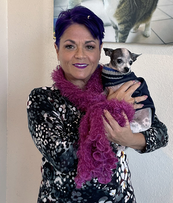 HumanePinellas's tweet photo. Happy Tails Bella! This fashionable pair are off to snuggle, play and just the best besties ever! #adoptdontshop #WhiskerWednesday #HomelessToHome #HappyNews #rescue #chihuahualove #chihuahua https://t.co/cOby8sfgJU