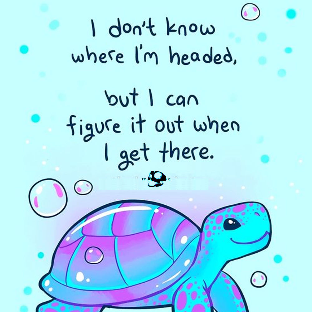 I don't know where I'm headed, but i can figure it out when i get there! #turtles #turtle #turtletrade #NFTCollection #NFTCollection #nftcollectors #ETH #BTC #SolanaNFTs