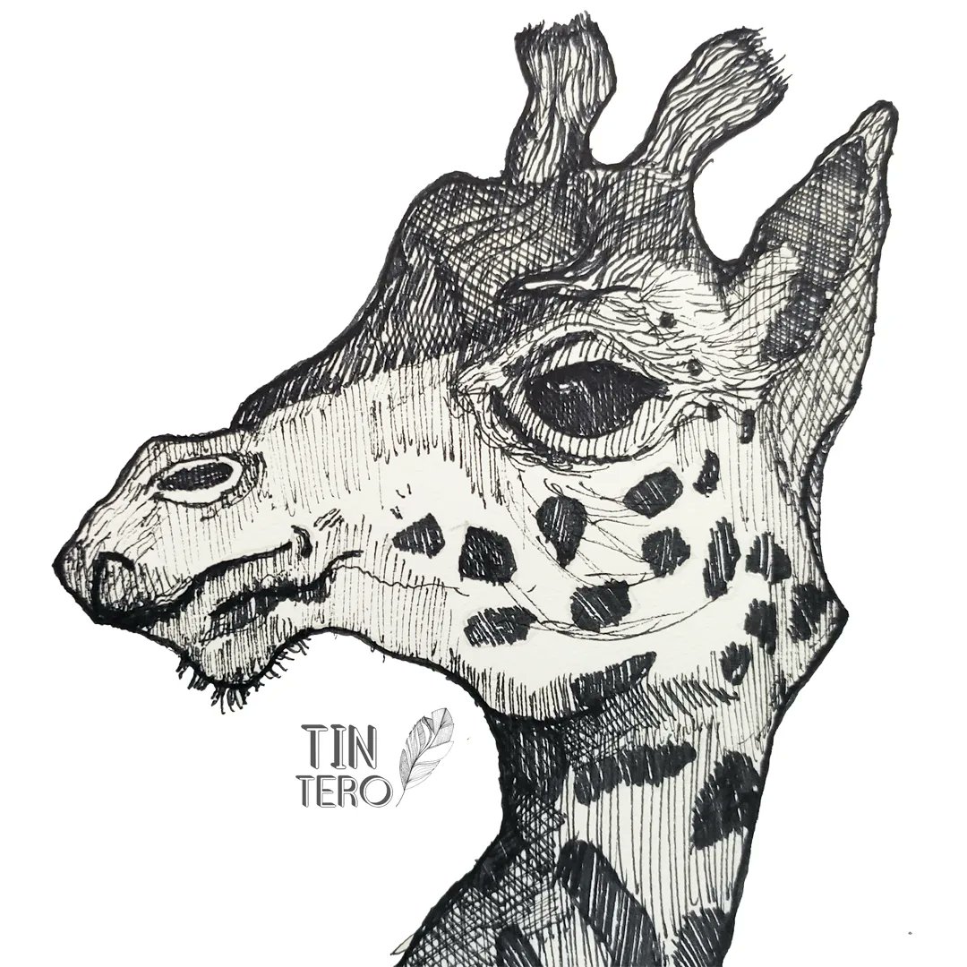 Hoy tocó dibujar una jirafa :) en Instagram pueden checar todo lo que hago y las cosas que hay en venta, también estoy abierto a pedidos para ayudar a <a href="/FundacionToby/">Fundación Toby</a> con donativos, así es que ya saben, si les gusta lo que hago y quieren decorar o regalar arte me pueden escribir.
