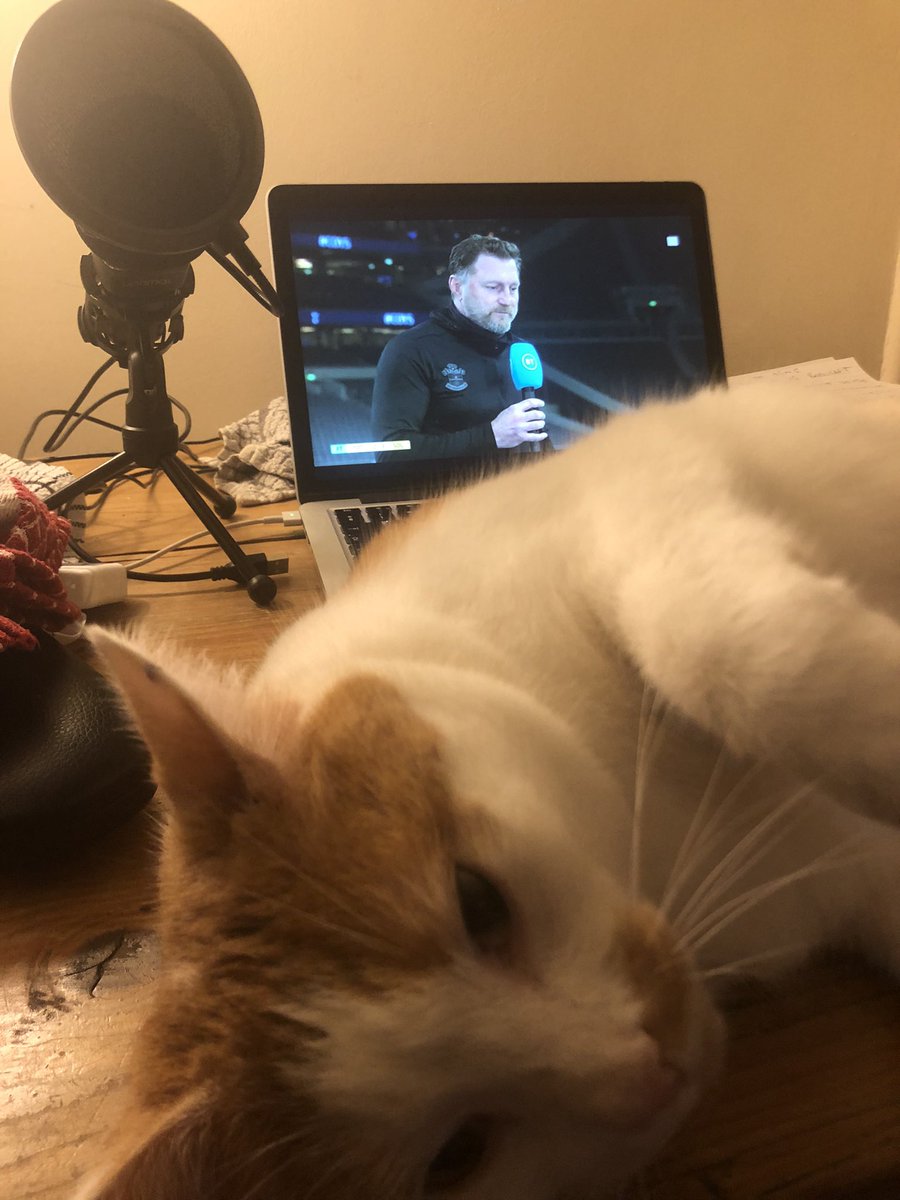 MichaelJohnCh11's tweet photo. The little bastard was nowhere to be seen when we were 2-1 down.
#catthing #topicalgag https://t.co/a8uUe1GyFc