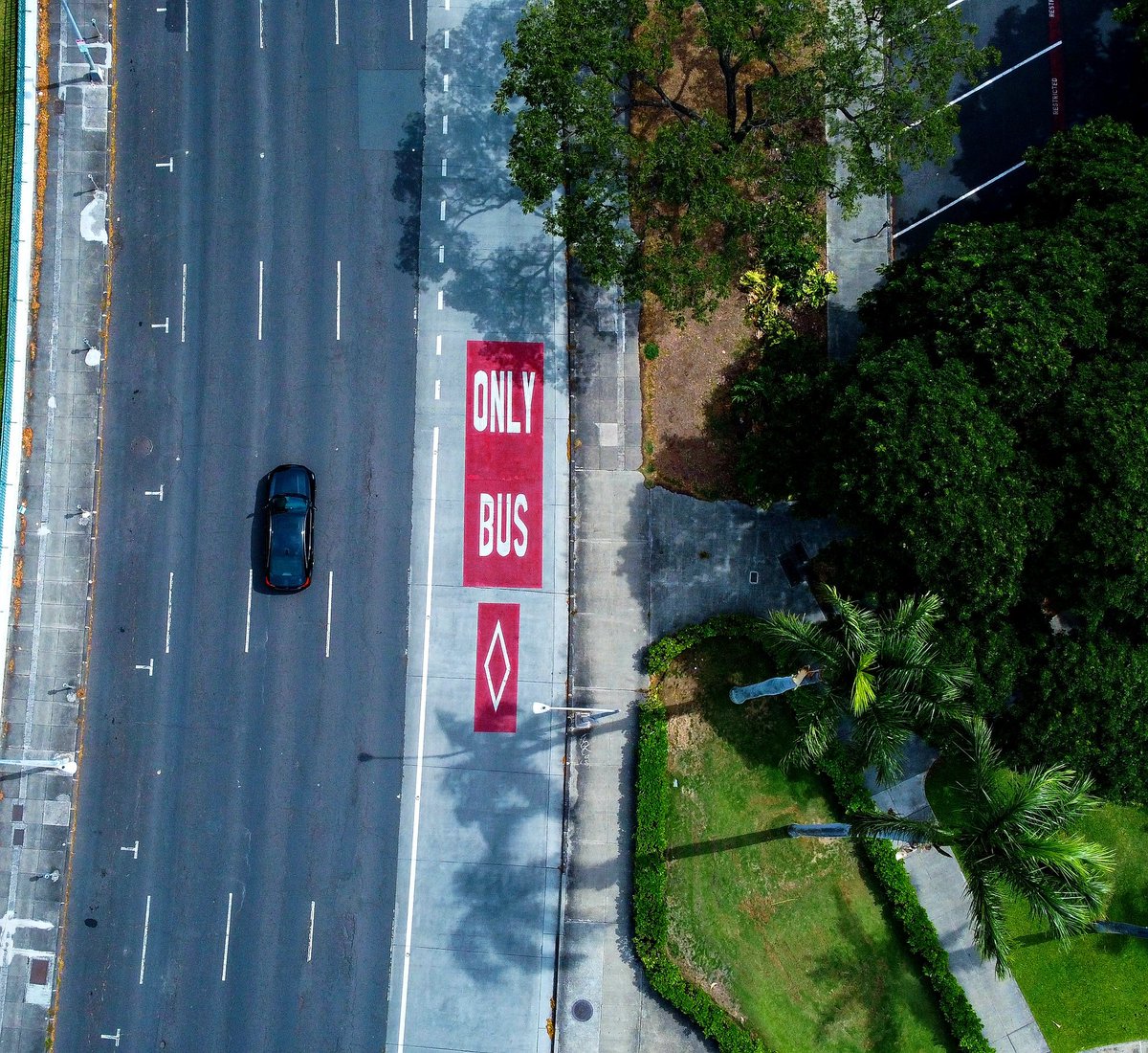 hnldts's tweet photo. Do you guys want more #BusOnlyLanes ?
#HOLOWithUs
#TheBusOnlyLane https://t.co/t9hMXSsqnw