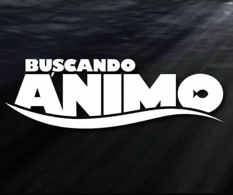 lacerda's tweet photo. assistindo agora https://t.co/lcIYn6VDte