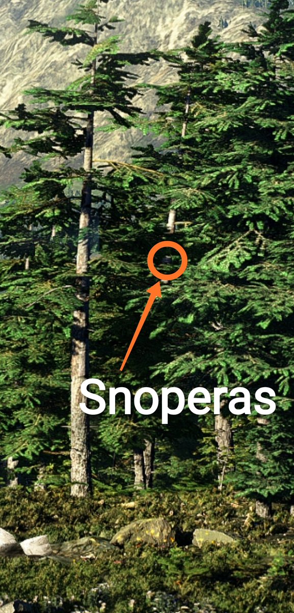 snoperas's tweet photo. @earth2io #Earth2EggHunt2022 https://t.co/SqJwub3CwG