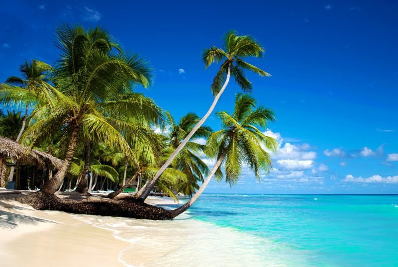 cloakape's tweet photo. Man imagine winning this trip! To get in on the prize go check @chains_nft out I’m a huge fan myself and couldn’t recommend getting into this awesome project. #ChainsDR 
-    All-inclusive package at the top resort in Punta Cana 🌴 
-    Private suite with hot tub and sm more!💯 https://t.co/HkR7iotZwS