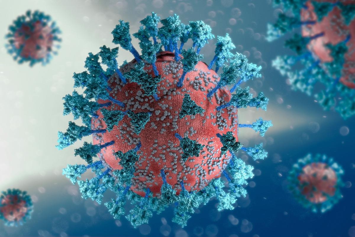 NewsMedical's tweet photo. Study compares the neutralizing potential of antibodies against two Omicron variants https://t.co/6mXYP7nqac @medrxivpreprint @BIDMChealth #antibody #antibodies #COVID19 #coronavirus #covid #SARSCoV2 #Omicron #variantofconcern https://t.co/fmpAA99pCK