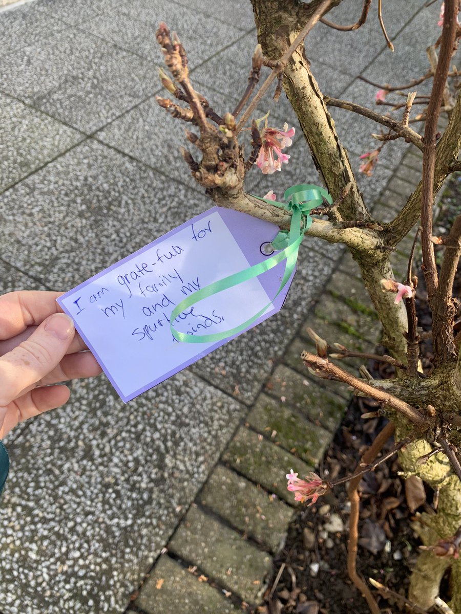 Some beautiful messages have been left on our Garden of Growth trees. Everyone sharing positive stories, people they are thankful for and things that they love about themselves!! #cmhwllt #ChildrensMentalHealthWeek