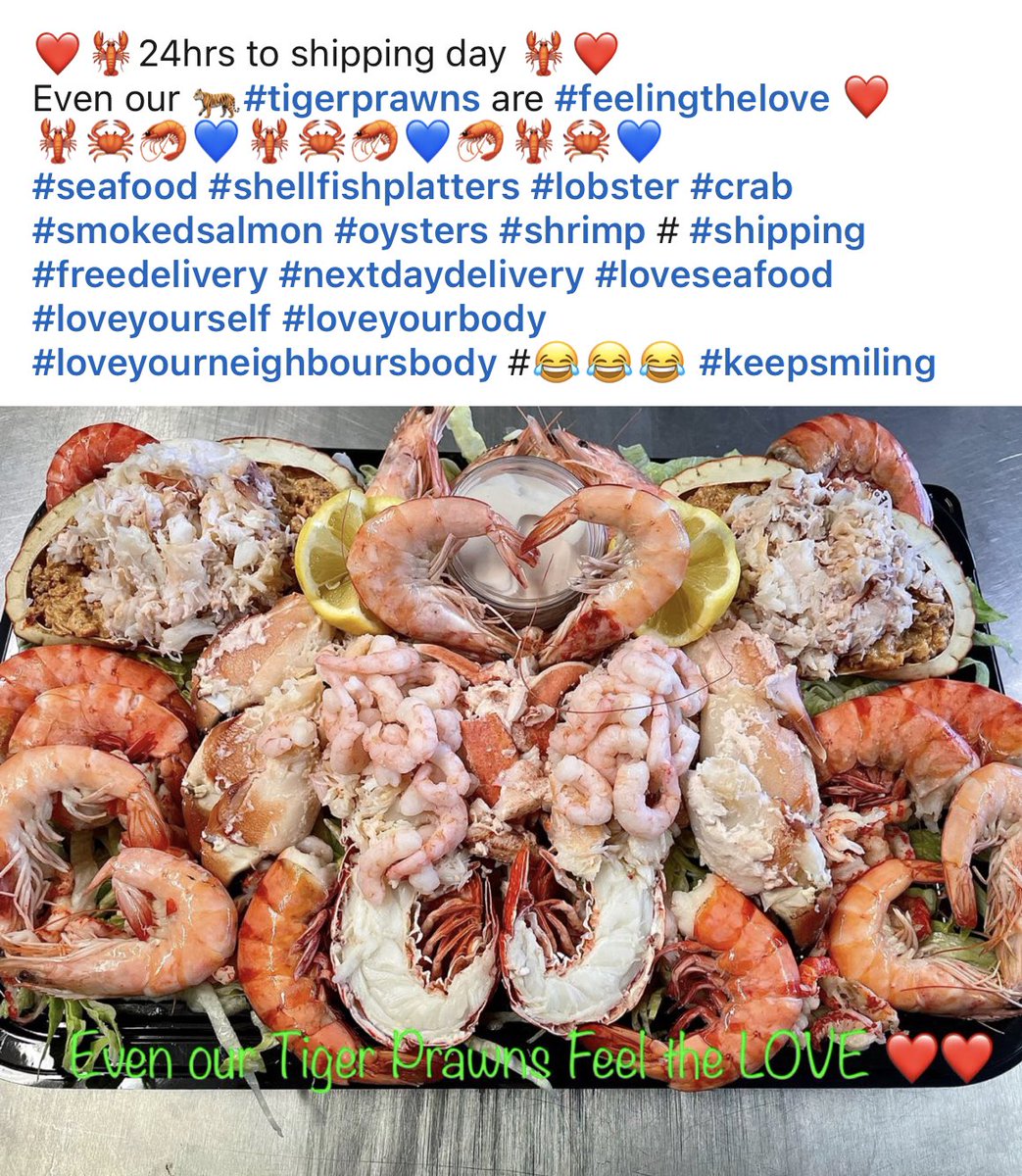 ❤️🦞❤️🦞❤️🦞❤️🦞❤️🦞