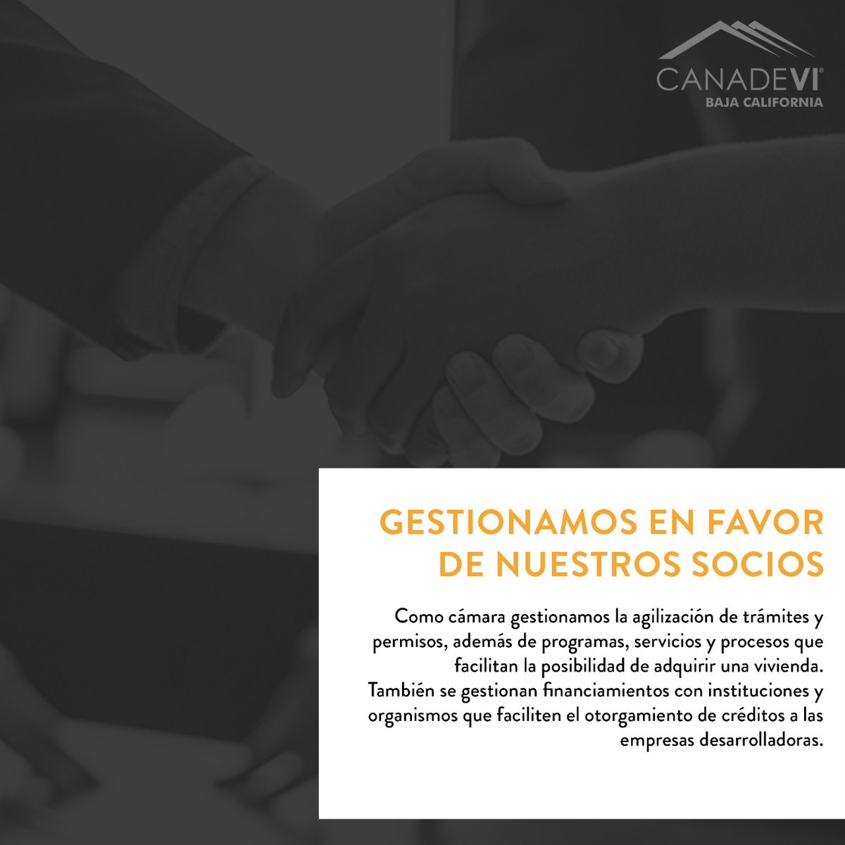 CanadeviBCN's tweet photo. ✅ ¡Únete a #CanadeviBC!
Al ser socio de esta cámara obtienes beneficios en cuestión de tramitología y financiamiento, los cuales te generan una ventaja competitiva en la industria de vivienda de Baja California .💪
#SoyCanadevi https://t.co/9mD9TC7XVt