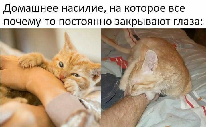 RussianMemesLtd's tweet photo. domestic violence that everyone turns a blind eye to for some reason: https://t.co/N8uvRf908L
