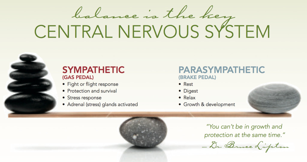asterlingdc's tweet photo. Balance is the KEY! Keep your Central Nervous System healthy through Chiropractic Care!

#balance #nervoussystem #health #chiropractic #opkschiro #asterlingdc #overlandpark #chiropractor https://t.co/pGF6r16Rai