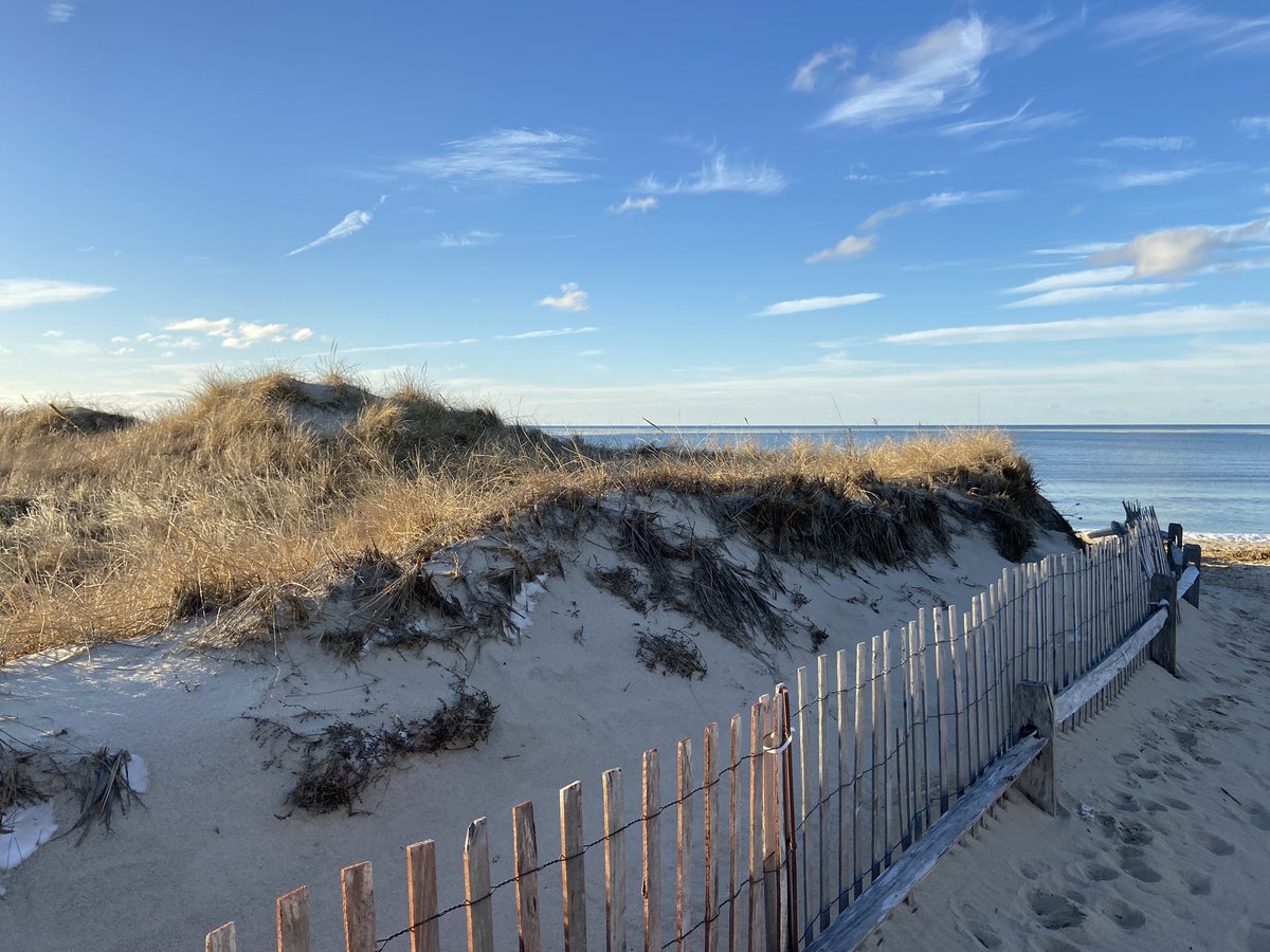 's tweet image. 38 days until spring 🌷☀️🐝 #friendlyreminder #daysuntilspring #countdown #capecod #Massachusetts #NewEngland #offseasoncapecod #lovewhereyoulive #yourlocalrealtor