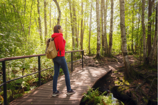 Well-Being Travel tweet media