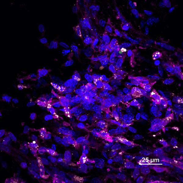 Advanced Portfolio News tweet media