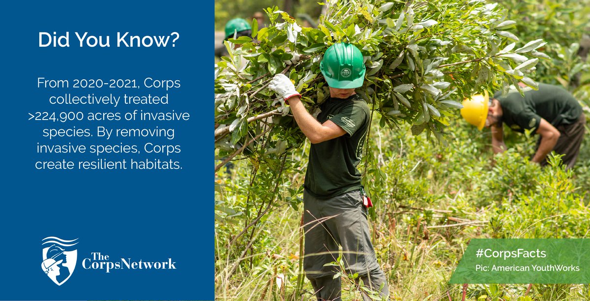 TheCorpsNetwork's tweet photo. #CorpsFact Corps like @AmerYouthWorks focus on the important work of maintaining environmental habitats and ecosystems. Corpsmembers are trained in invasive species removal to continue natural cycles.βοΈπΏ
#WisdomWednesday https://t.co/sedzzkJjAD