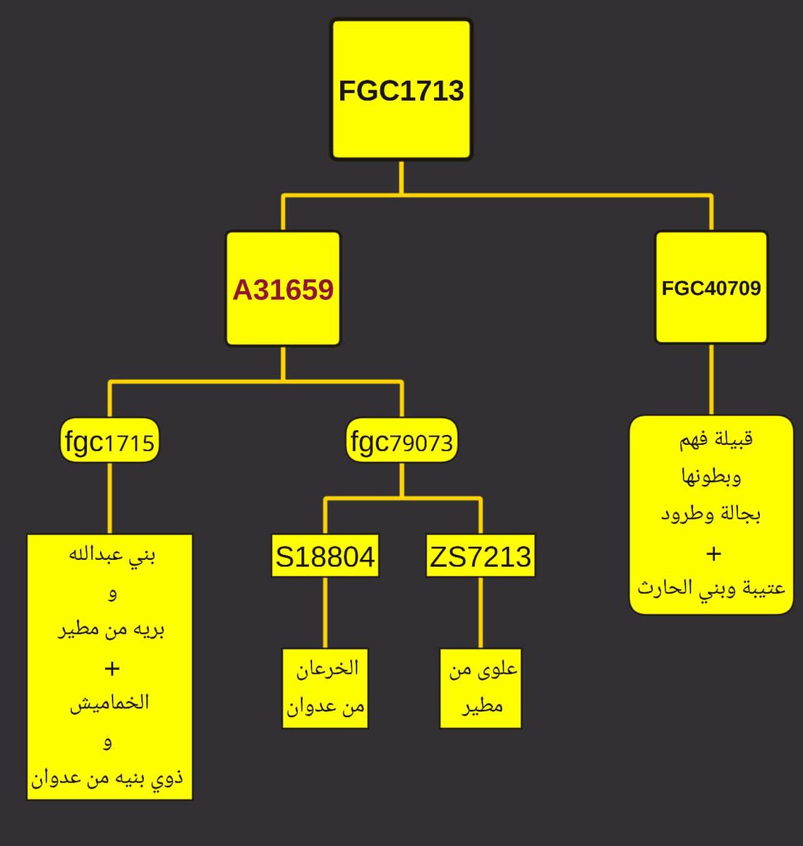 abdallhrashed's tweet photo. بحمدالله

نعلن عن التحور A31659 المكتشف على قراءة T2T
 
ويجمع التحورين :
FGC1715
(الجامع لبني عبدالله وبريه من مطير وفروع من عدوان)

و fgc79073 (الجامع لعلوى من مطير والخرعان من عدوان)

كما في المشجر المرفق

وإذا تم توفير التحور للفحص الفردي سنفحصه بمشيئة الله لمتعان وللخط zs8311 https://t.co/rPdQK91JwP