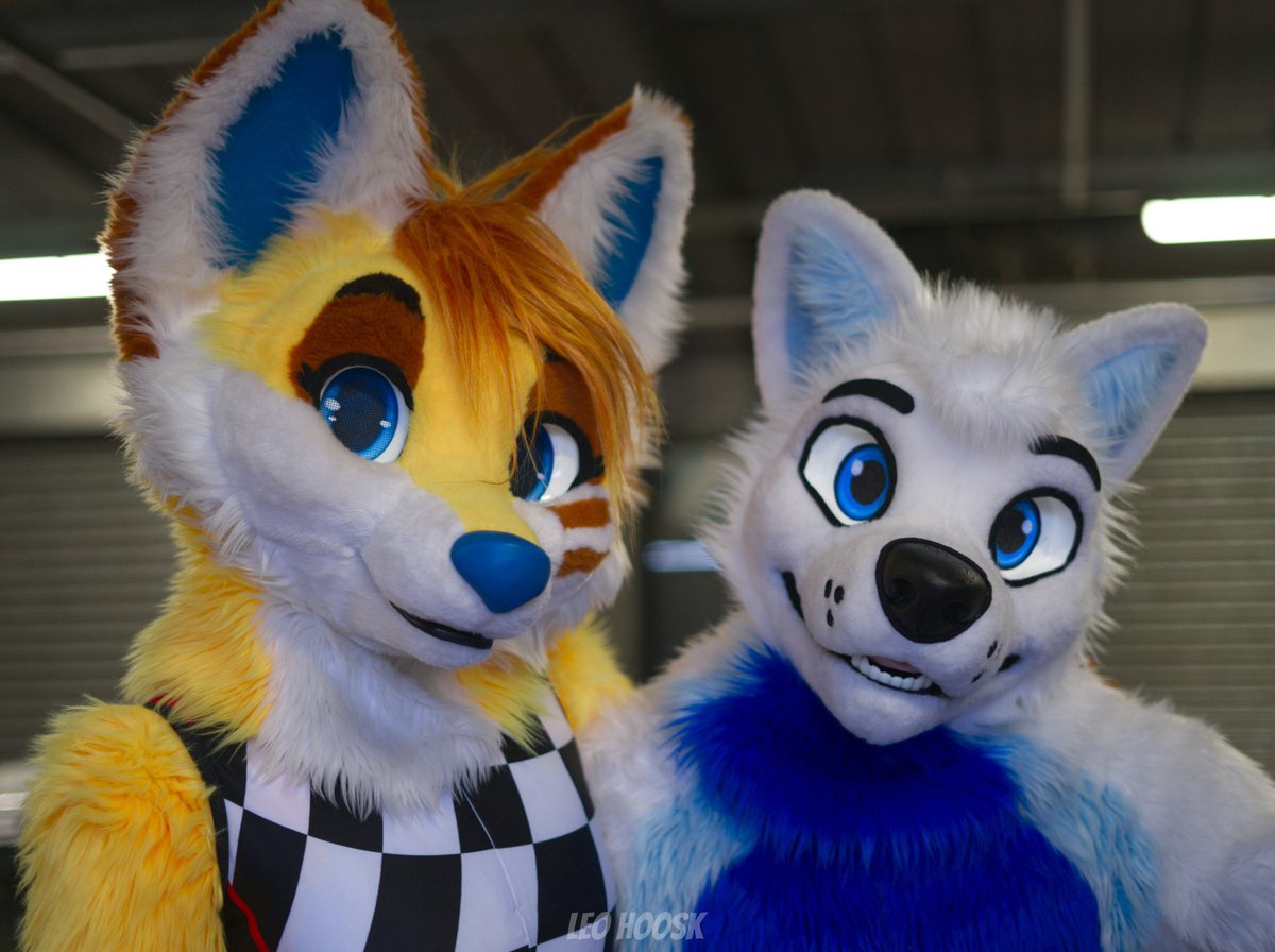 Really love this photo with <a href="/FuzzerFox/">Fuzzer</a> ! 

See you again soon 🎉

📸 : <a href="/LeoHoosk/">Leo!</a>