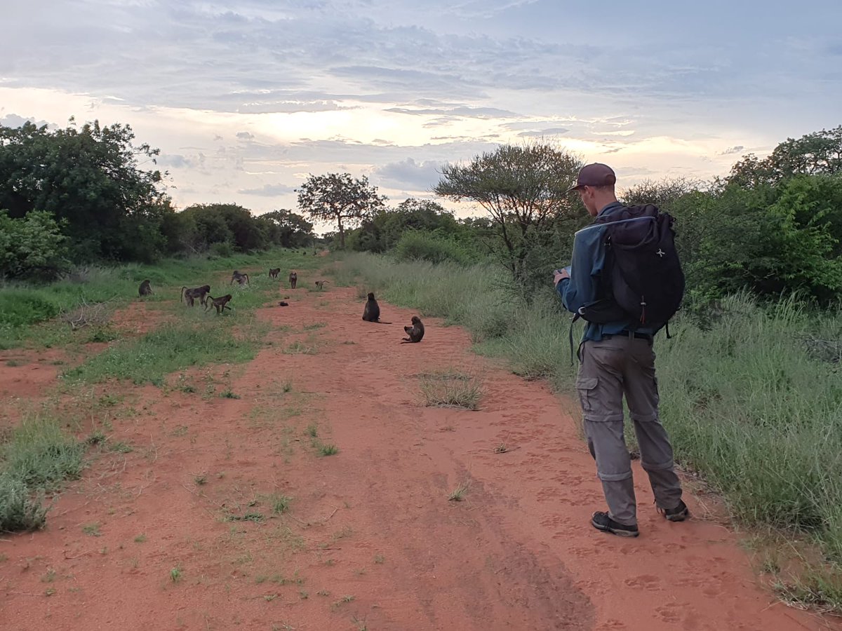 AlldaysAnd's tweet photo. Do natural resources or human waste resources affect how much time baboons spend in human settlement areas? And does increased time in human settlements lead to an increase in human-wildlife conflict? 🐒🏡🌿

#internshipabroad #baboons #researchassistant #humanwildlifeconflict https://t.co/Srwx3vqDKz