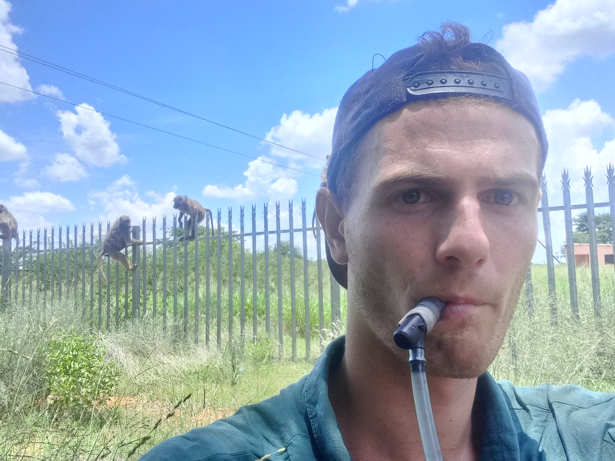 AlldaysAnd's tweet photo. Do natural resources or human waste resources affect how much time baboons spend in human settlement areas? And does increased time in human settlements lead to an increase in human-wildlife conflict? 🐒🏡🌿

#internshipabroad #baboons #researchassistant #humanwildlifeconflict https://t.co/Srwx3vqDKz