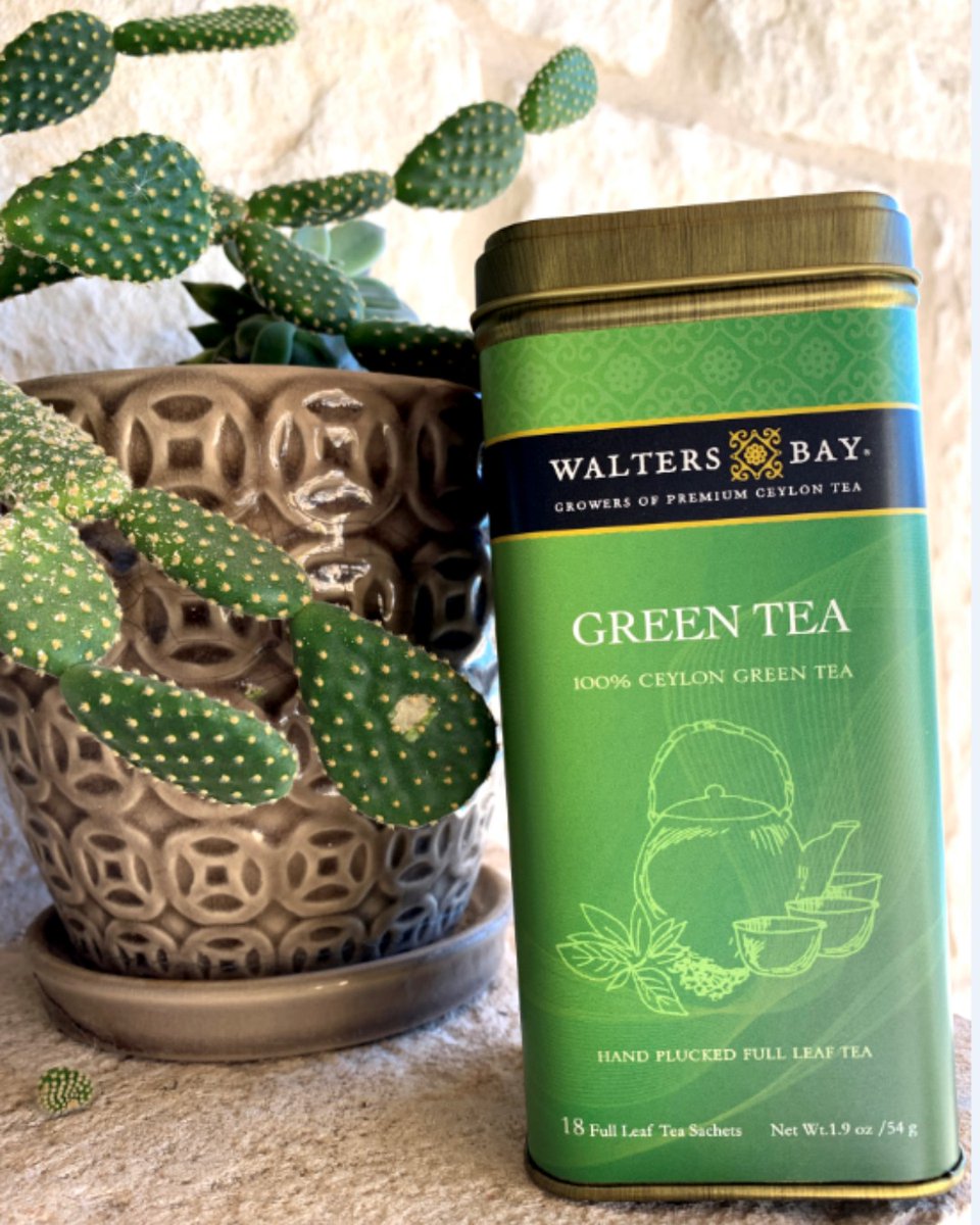 WaltersBayTea's tweet photo. 💚🤍💚

#waltersbay #austin #atx #srilanka #atxdrinks #tea #tealover #teastagram #sustainability #consciousconsumer #ethicallymade #sustainableliving #healthyliving #cupoftea #ceylon #teapro #teaaesthetic https://t.co/qsxjRvzamo