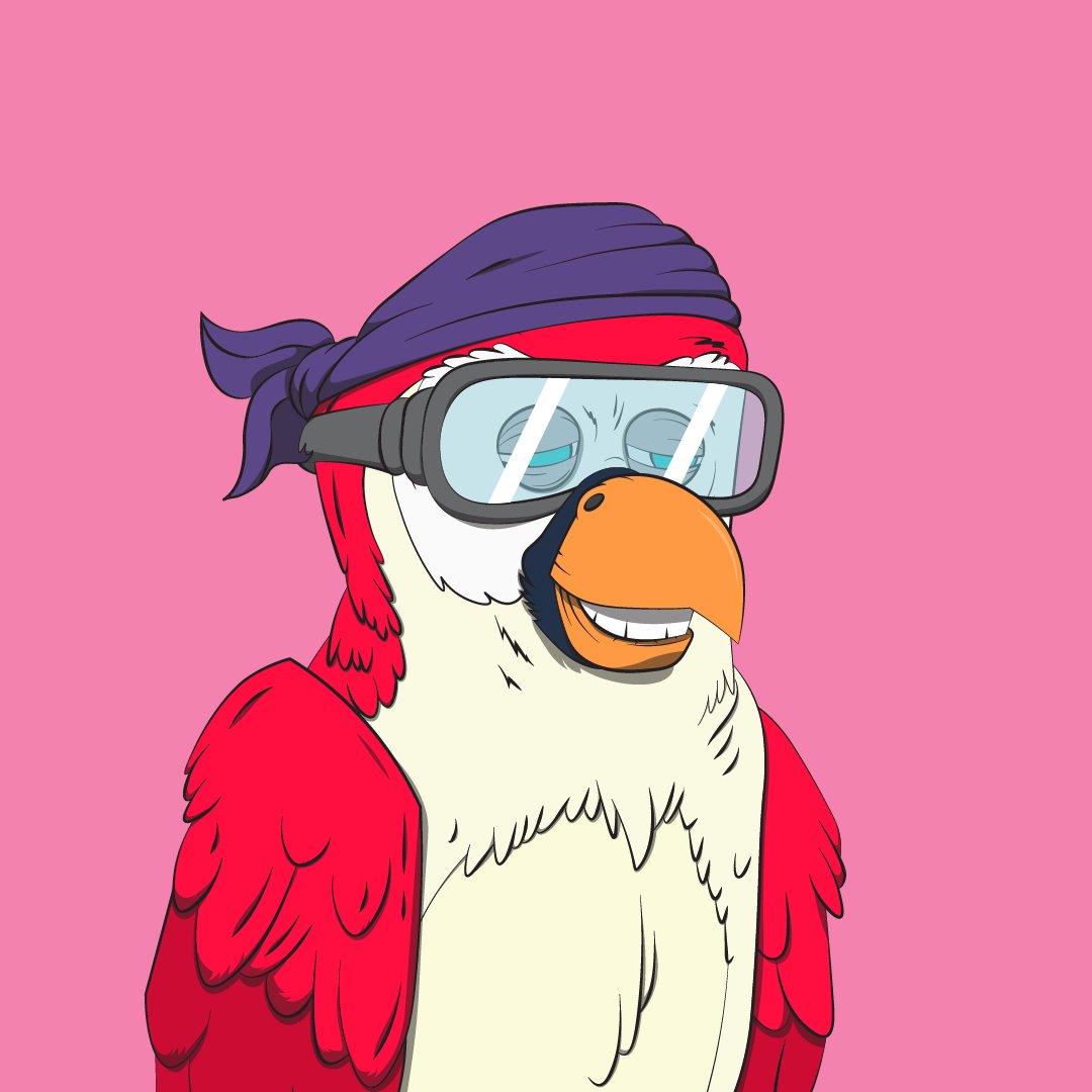 Bored Macaw Sol Club tweet media