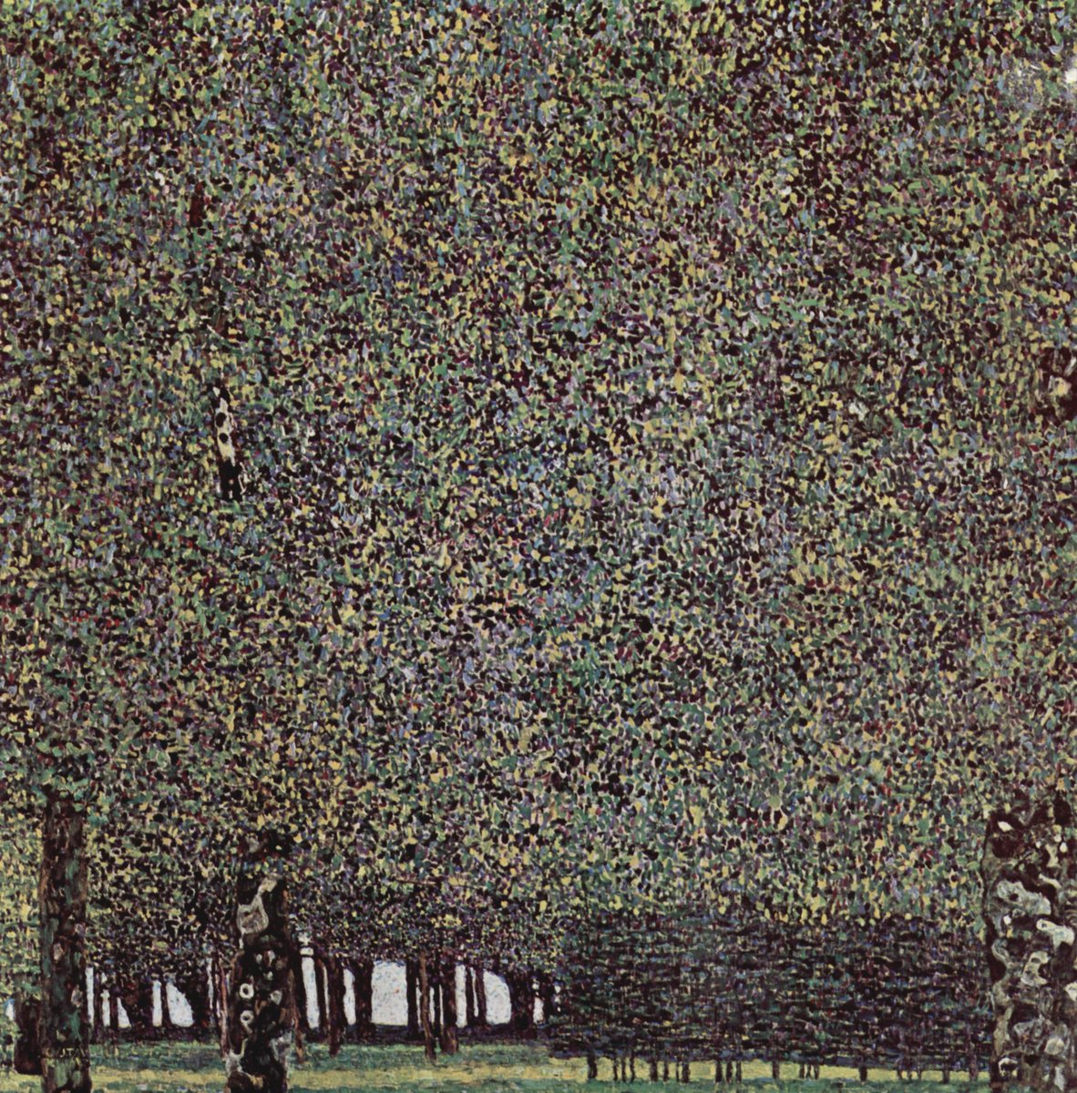 Park, 1910 #artnouveau #klimt