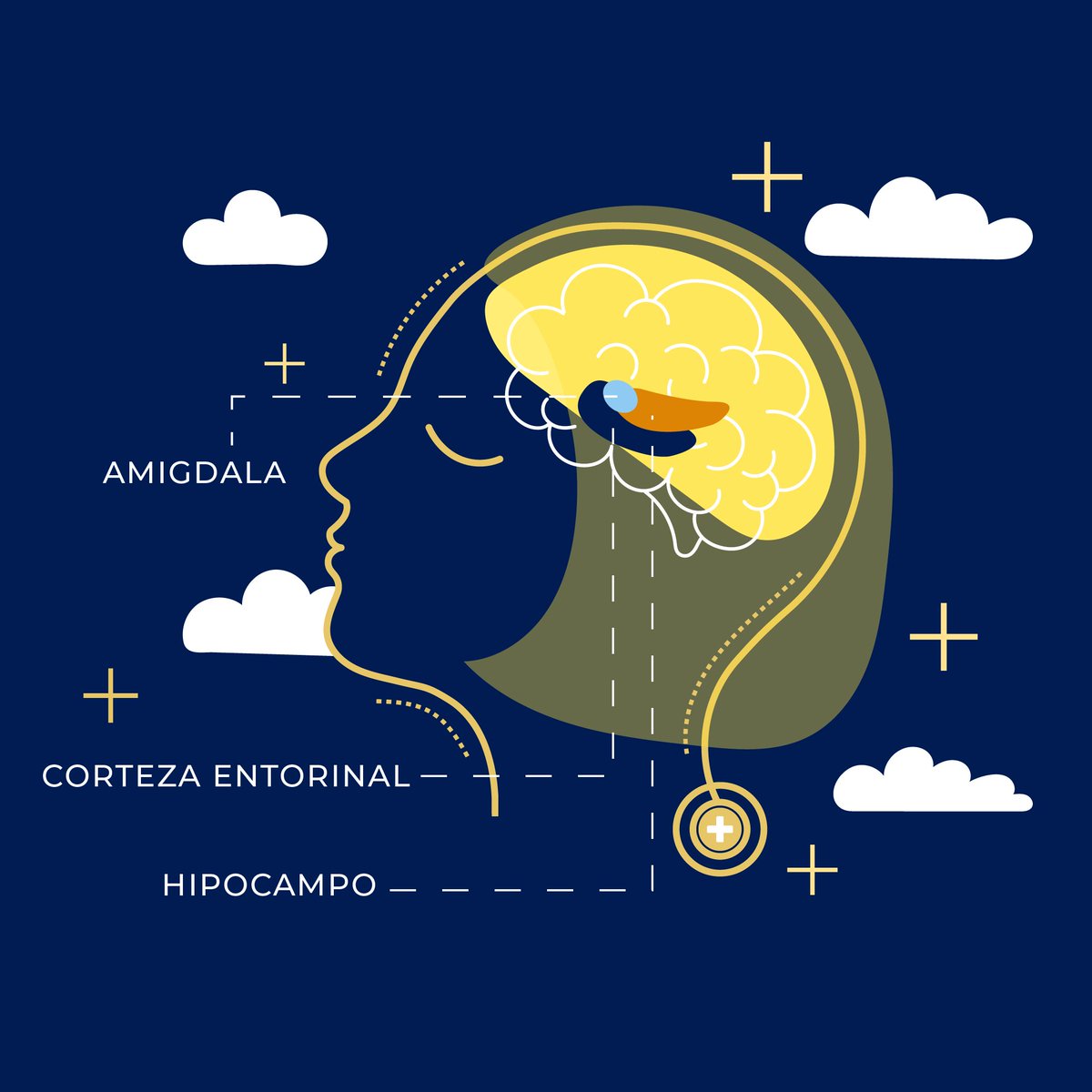 flanc_la's tweet photo. Para los profesionales de salud el sueño 💤 se vuelve un lujo, en algunos casos

Conoce un poco más sobre el proceso del sueño en nuestra cuenta de Instagram https://t.co/iY8RVeo2zM

#SomosFLANC #neurocirugia #FLANC #Neurosurgery #MedStudent #medicina #health #sueño #sleep https://t.co/GOiMxAGDob
