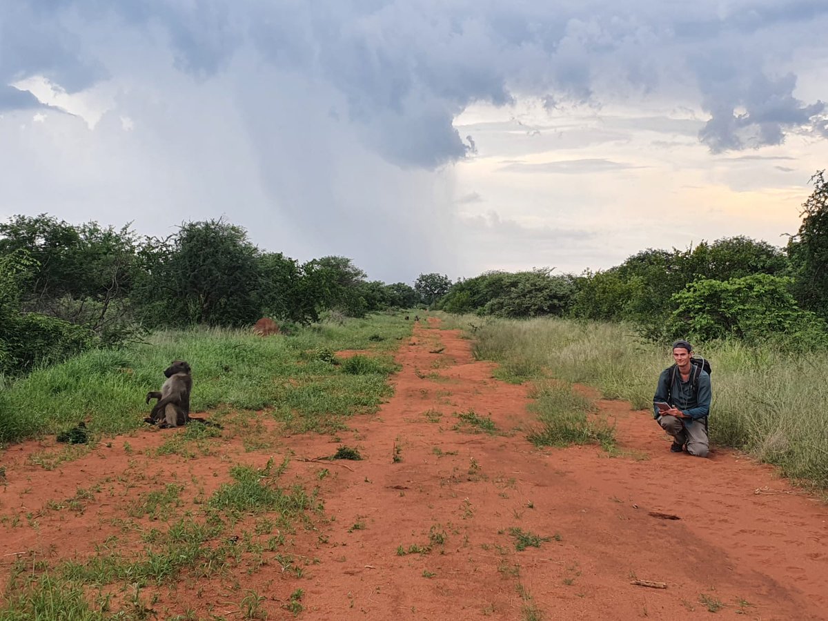 AlldaysAnd's tweet photo. You can read more on Valentin's internship project on our website: https://t.co/CNBPE3q1Vn https://t.co/5ubHIXAxQ3