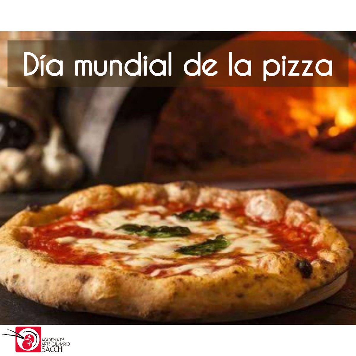 Academia Sacchi tweet media