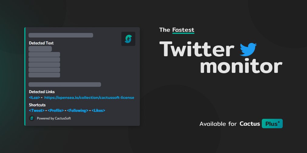 CactusSoft tweet media