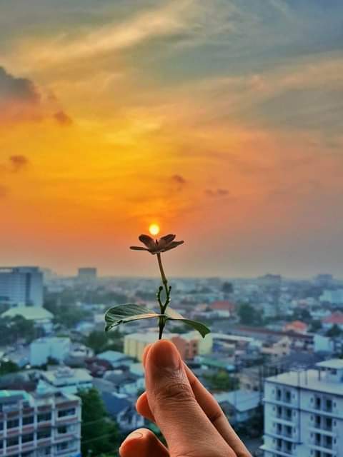 ben_madjda's tweet photo. Le jour s'arrête de respirer....
C'est comme une voix qui s'évanouit et son écho résonne dans l'enchantement du couchant.....
Bonne soirée à tous....♥
#soir #citation #citations #pisitive #ligue_des_optimistes https://t.co/lcHhziQmoX