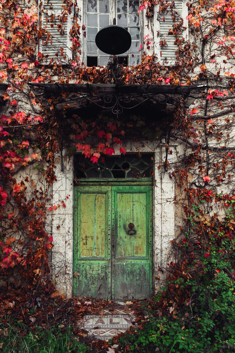 brackenmagazine's tweet photo. To round out our Issue VIII contributors, we have the selected work of Nicolas Pluquet, who also gave us our cover image. https://t.co/FZATzhHujx #BrackenMagazine #IssueVIII #photographers #photography https://t.co/QkScb5mr2J