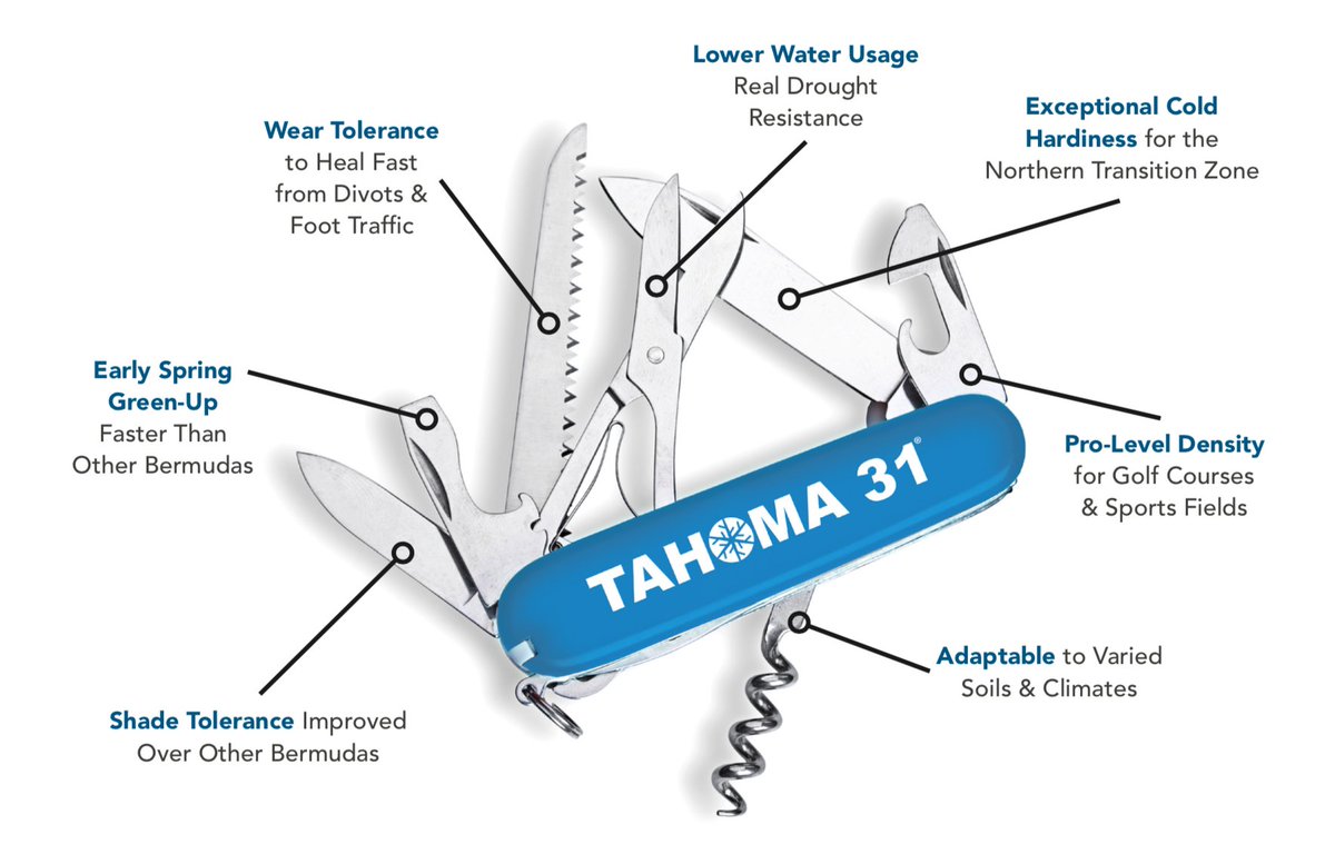 OTHER GRASSES JUST DON'T CUT IT! Tahoma 31 Bermuda stands up to cold, drought, wear. Throw in early spring green-up for good measure. Learn more today at #GCSAAConference Booth #3951 & grab your own Tahoma 31 utility knife. #TurfTwitter #gcsaa Tahoma31Bermudagrass.com